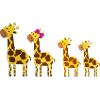 Giraffe family