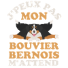 Bouvier bernois 1