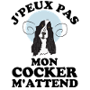 Drôle chien cocker