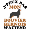 Bouvier bernois
