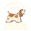 Chien de race cocker