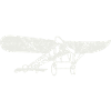 Airplane
