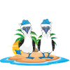 Galapagos Islands Blue-footed Christmas