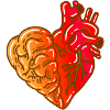 Heart Brain