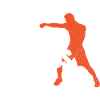 Boxsport Boxing