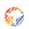BJJ Jiu Jitsu