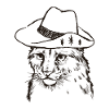 Lynx Cowboy