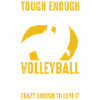 Volleyball Sport Referee Gift