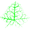 Chaotic Ivy Leaf