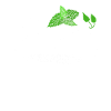Herb expert herb herb herbs