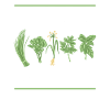Herb Gardener Herbology Herb