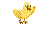 Ich Kann Karate Küken