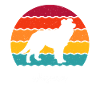 Border Collie Chien