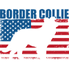 Border Collie Dog
