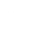 Border Collie Dog