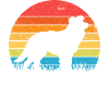 Border Collie Dog