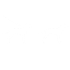 Bluetick Coonhound Chien