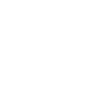 SDI-PARIS Basic
