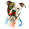 Staffordshire Terrier