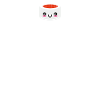 Japanese Food Sushi Lover Gift