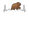 Wombat Herzschlag