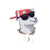 Never Mess With Alpacas
