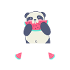Panda bear eats watermelon