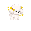 cute cute baby dog