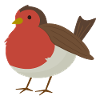 Robin