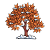 Maple tree tree Ahron