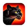 Wildcat