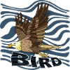 Oiseau