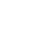 United States Flag