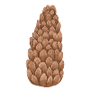 Fir cone