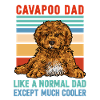 Cavapoo Cavoodle Capoodle Dog
