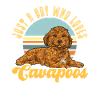 Cavapoo Cavoodle Capoodle Dog