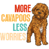 Cavapoo Cavoodle Capoodle Dog