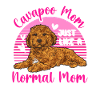Cavapoo Cavoodle Capoodle Dog