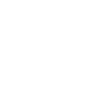 Cavapoo Cavoodle Capoodle Dog