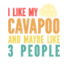 Cavapoo Cavoodle Capoodle Dog