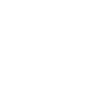Cavapoo Cavoodle Capoodle Dog