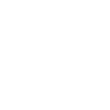 Cavapoo Cavoodle Capoodle Dog