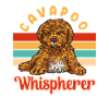 Cavapoo Cavoodle Capoodle Dog