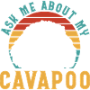 Cavapoo Cavoodle Capoodle Dog