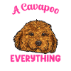 Cavapoo Cavoodle Capoodle Dog
