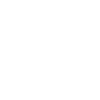 Cavapoo Cavoodle Capoodle Dog