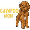 Cavapoo Cavoodle Capoodle Dog