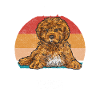 Cavapoo Cavoodle Capoodle Dog