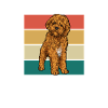 Cavapoo Cavoodle Capoodle Dog