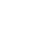 Cavapoo Cavoodle Capoodle Dog